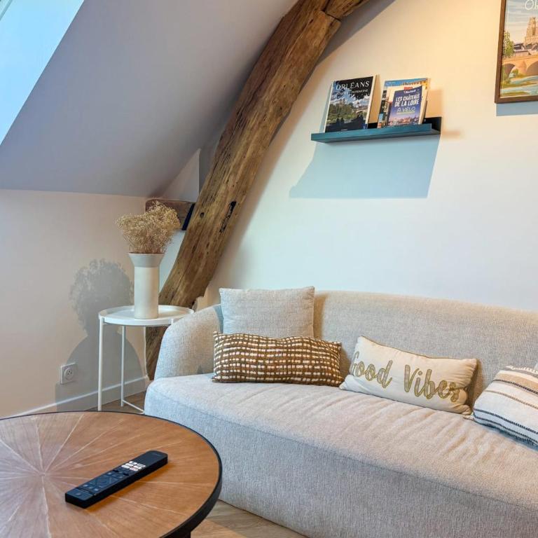 Le Genêt - Orléans Centre - 2 personnes - Appartement - 10