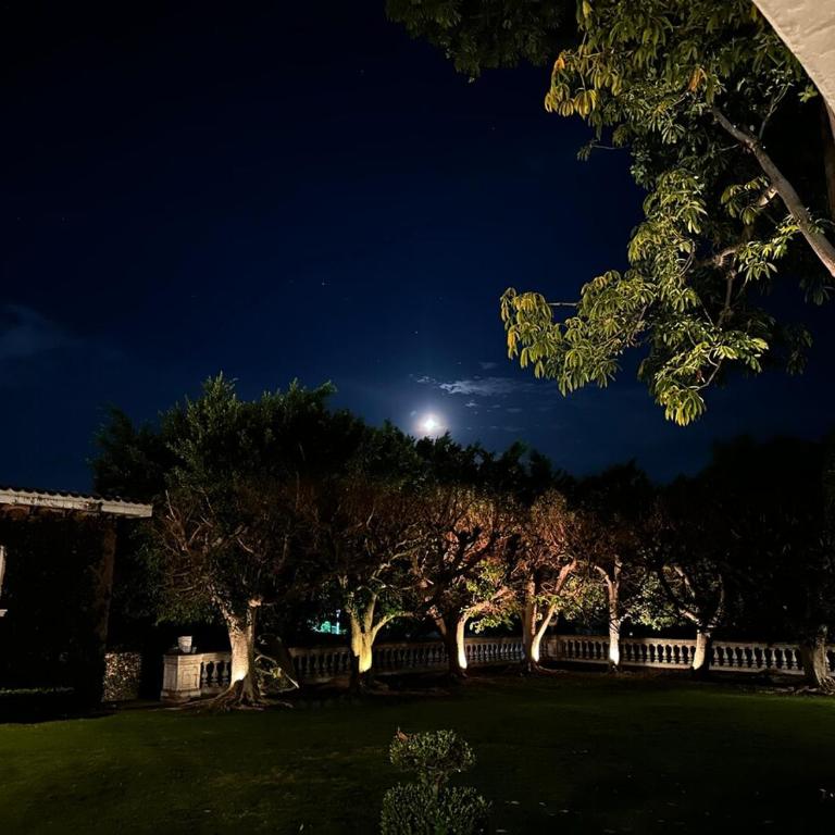 Casa Carlota Exclusive Mansion Pool & Garden - Vacation Home - 2