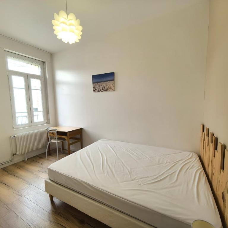 Émeraude Appt 2 chambres - Appartement 2 Chambres - 5