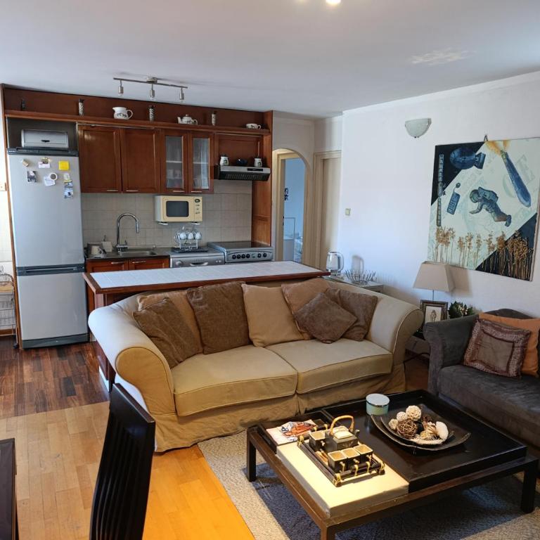 Center Parliament Suite - Apartman sa 1 Spavaćom Sobom - 1