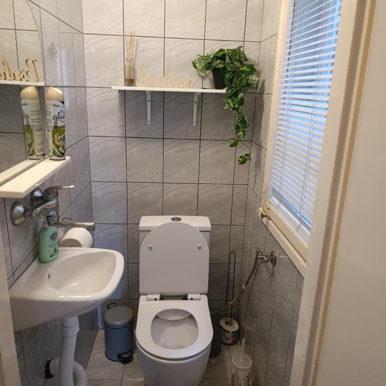 Center Parliament Suite - Apartman sa 1 Spavaćom Sobom - 7