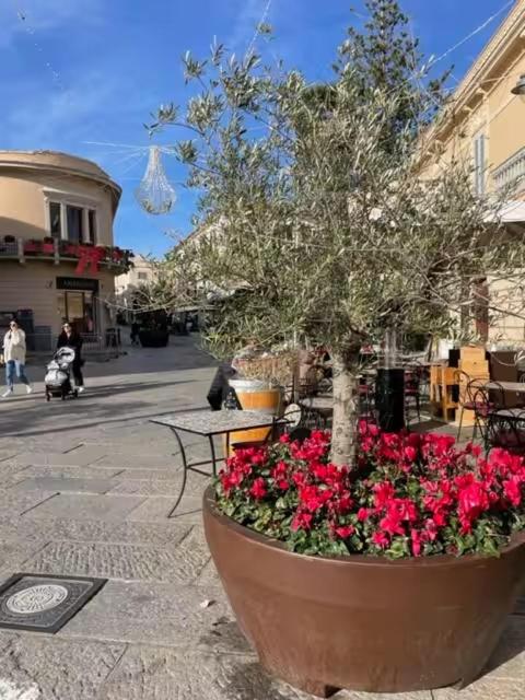 Accogliente bilocale nel centro di Olbia - Appartamento con 1 Camera da Letto - 26