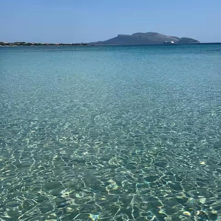 Accogliente bilocale nel centro di Olbia - Appartamento con 1 Camera da Letto - 23