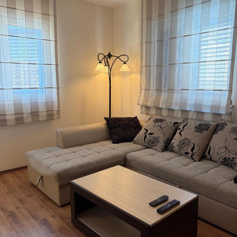 Tamara's Sea View Apartment in Bečići - Apartman sa 1 Spavaćom Sobom - 3