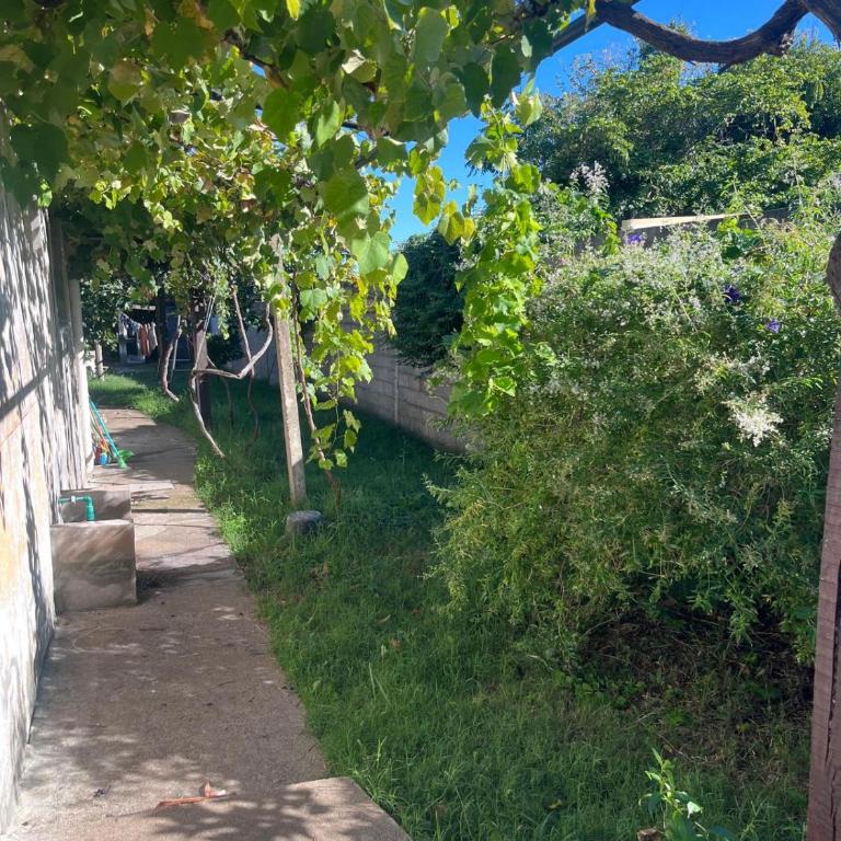 Casa, gran jardín rodeada de frutales, a minutos de sitios turísticos - Casa de 2 dormitorios - 5