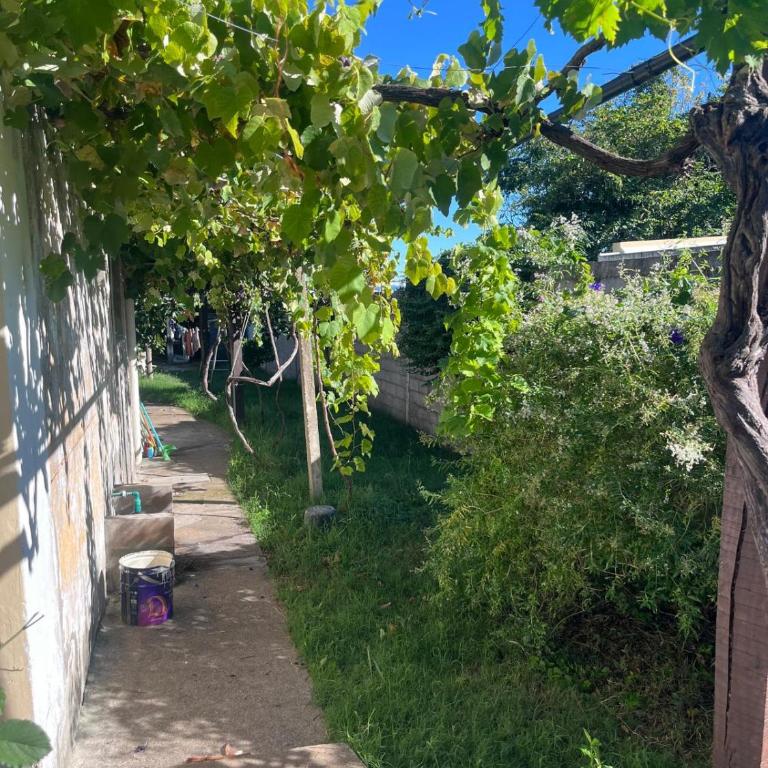 Casa, gran jardín rodeada de frutales, a minutos de sitios turísticos - Casa de 2 dormitorios - 8
