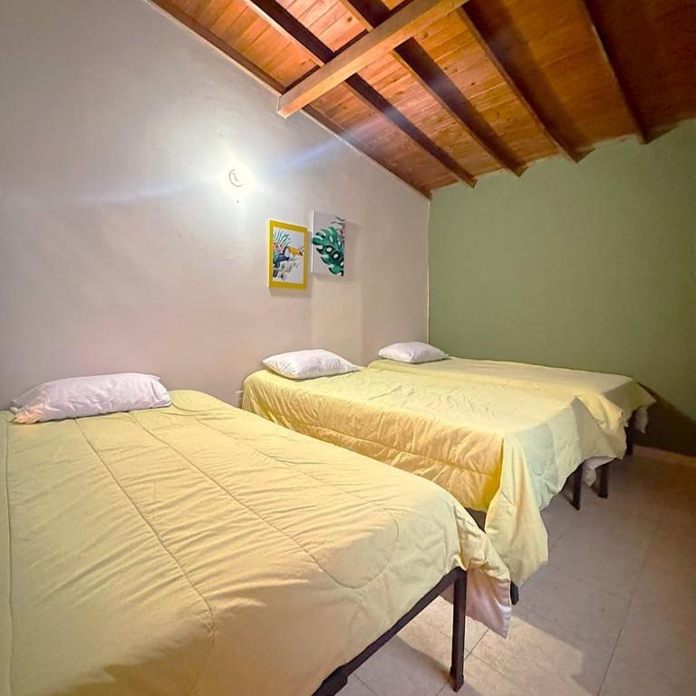Hostal Pura Vida la 70 - Habitación Triple con baño privado - 17
