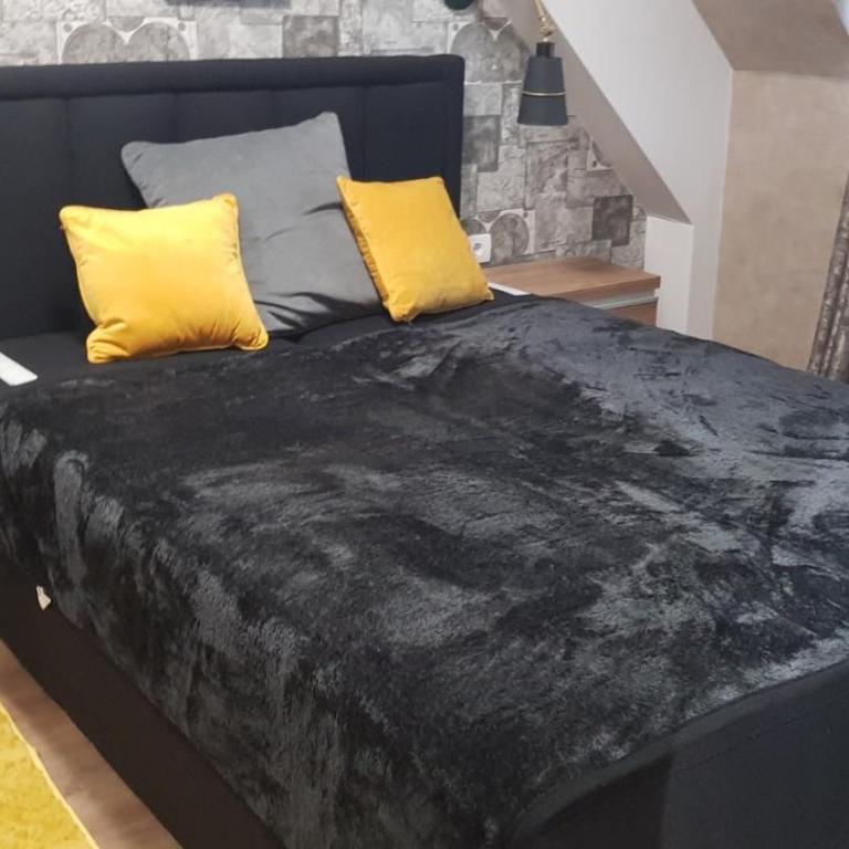 Kraljevi Čardaci apartman Rajković - Apartman sa 1 Spavaćom Sobom - 7