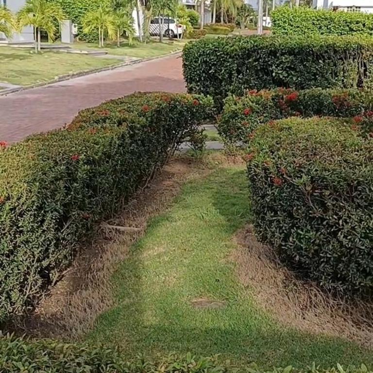 Casa Vacacional - Casa de 3 dormitorios - 4