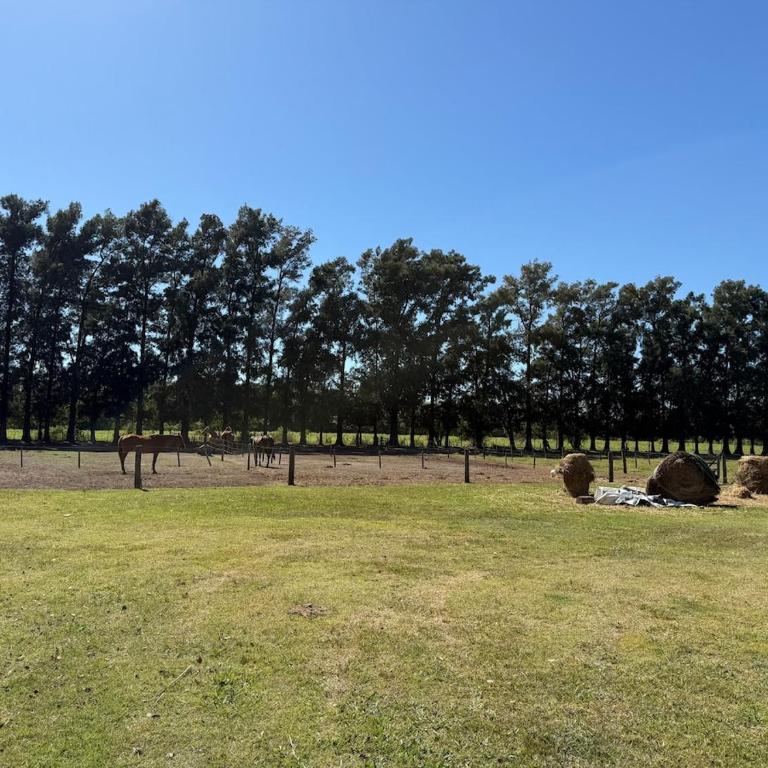 Escapada de campo- Pileta, diseño y naturaleza - Villa - 10