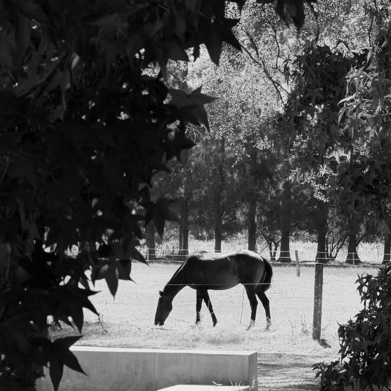 Escapada de campo- Pileta, diseño y naturaleza - Villa - 45
