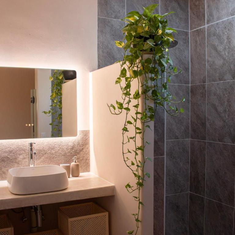 Maison Cigaline Apartment Terrace Pool WiFi AC 5 min to East Cape Beaches - Apartamento de 1 dormitorio - 11
