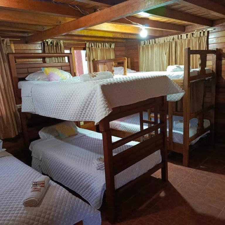 Hostería Sacha Serena - Habitación Deluxe (2 adultos + 1 niño) - 4