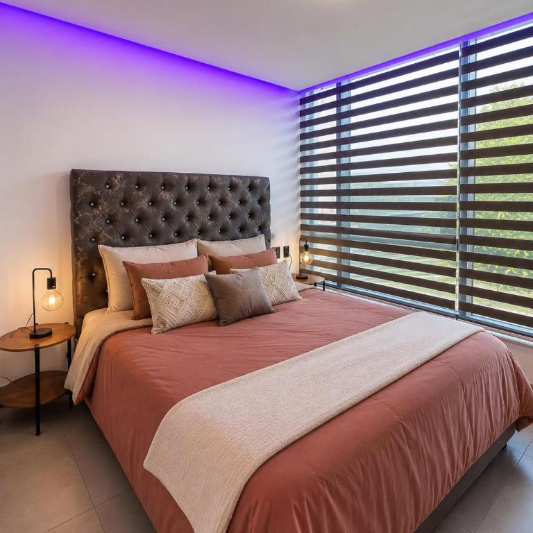 Suite de lujo confort y spa La Carolina - One-Bedroom Apartment - 12