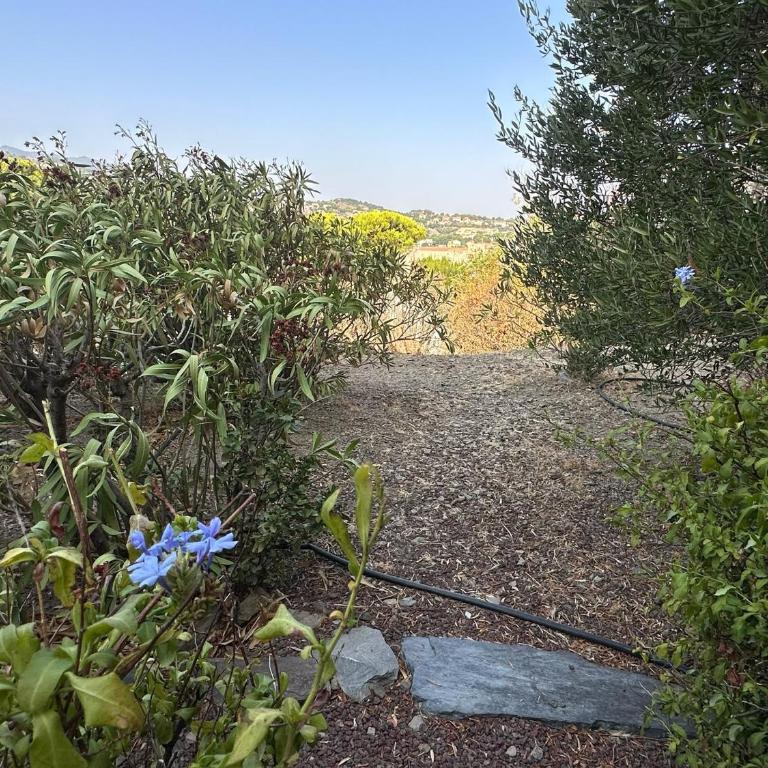 Appartement climatisé, parking - Collioure - One-Bedroom Apartment - 13