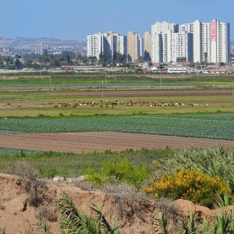 apartt secure, cozy with beauty panoramic view - Apartamento de 3 dormitorios - 47