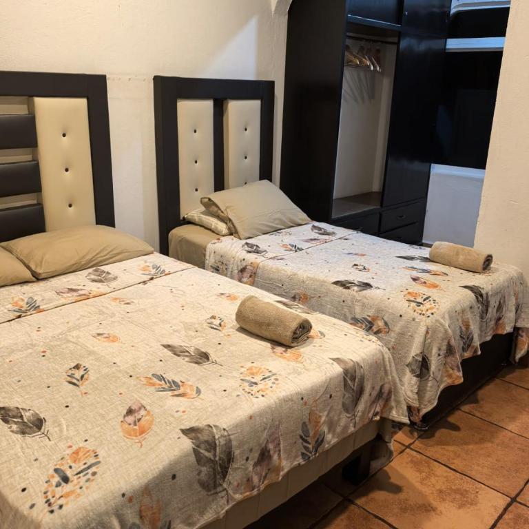 Casa Naxiña Terra Near Santo Domingo - Two-Bedroom Apartment - 4