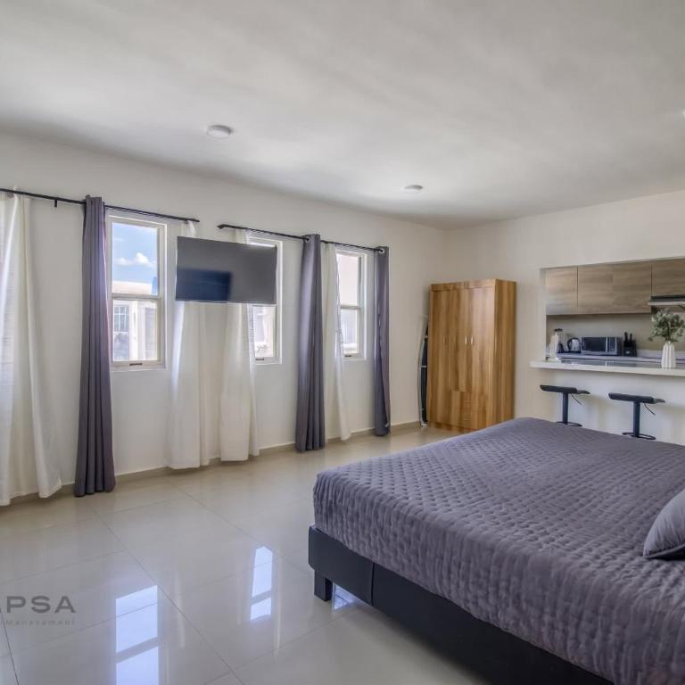 Loft King en Privada Segura Apodaca - Planta Baja - Apartment - 4