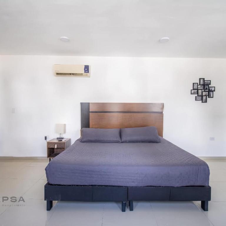 Loft King en Privada Segura Apodaca - Planta Baja - Apartment - 5