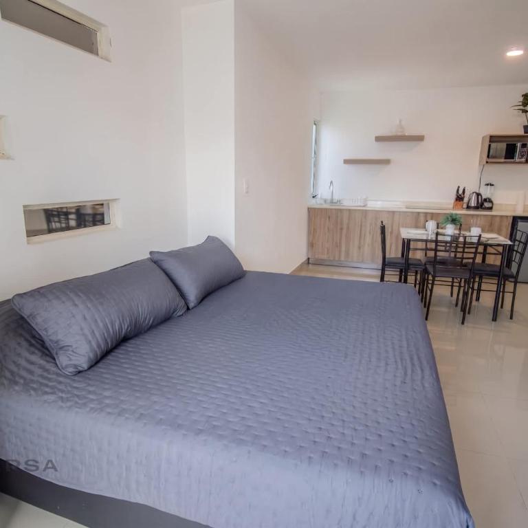 Loft King con Balcon en Apodaca - Planta Alta - Appartement - 1