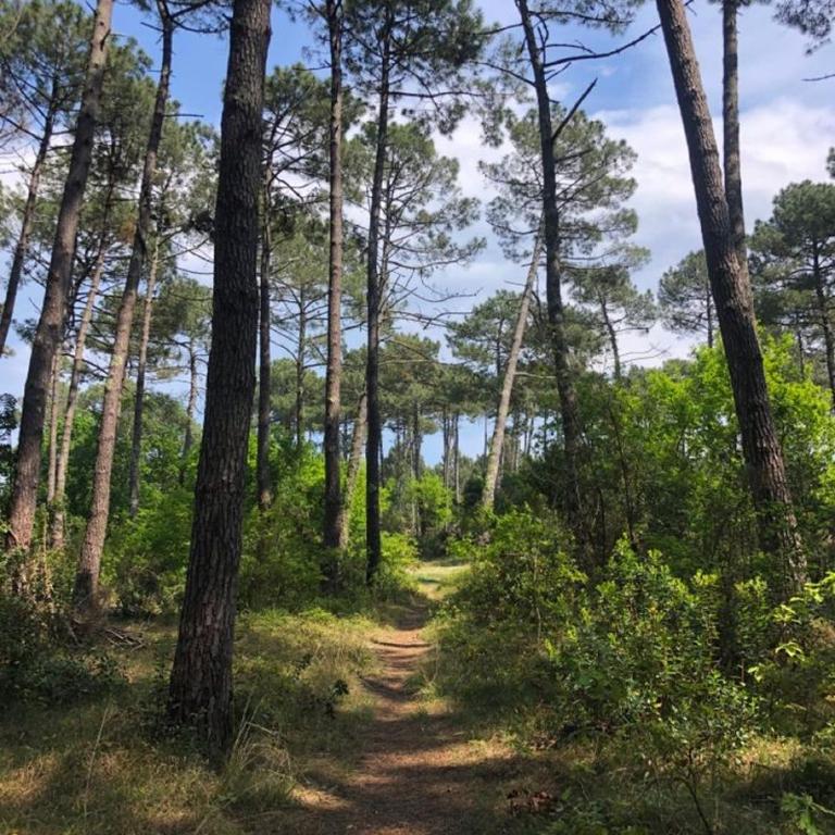 Escapade basque - Jardin privatif et océan à vélo - Appartement 1 Chambre - 23