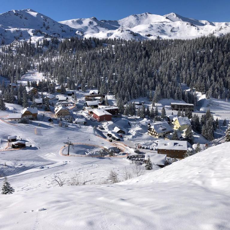 Zettlerhütte Planneralm - Haus mit 1 Schlafzimmer - 21