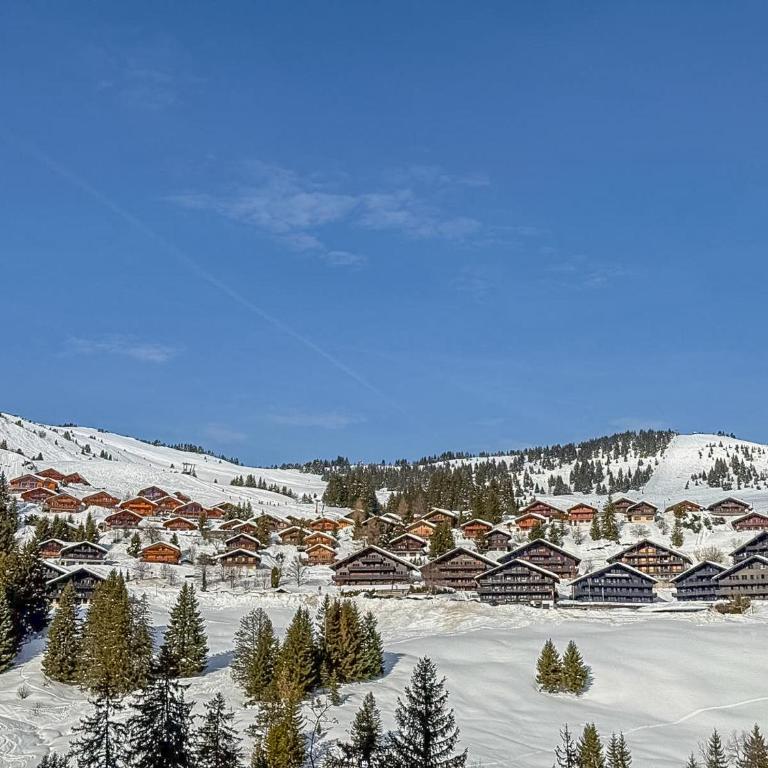 Refuge familial Cœur des Portes du Soleil - Apartamento de 2 dormitorios - 29