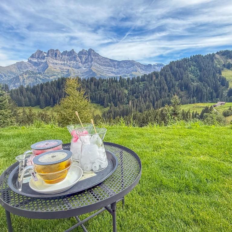 Refuge familial Cœur des Portes du Soleil - Apartamento de 2 dormitorios - 31