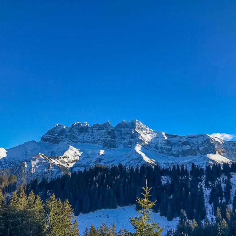 Refuge familial Cœur des Portes du Soleil - Apartamento de 2 dormitorios - 41