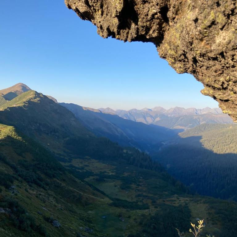 Zettlerhütte Planneralm - Haus mit 1 Schlafzimmer - 38