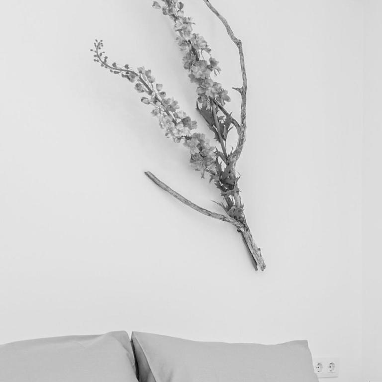 Milenial Immo - CS Cadaqués Apartment 300m from the beach - Apartamento de 3 dormitorios - 26