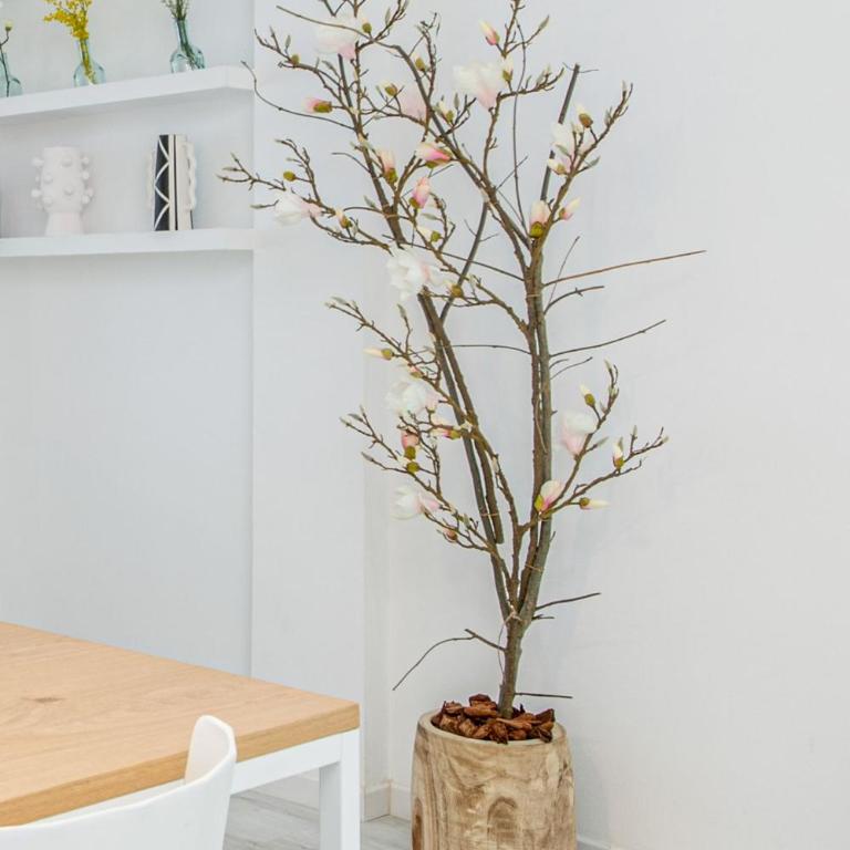 Milenial Immo - CS Cadaqués Apartment 300m from the beach - Apartamento de 3 dormitorios - 14