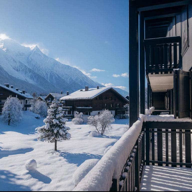Charming apartment in Chamonix - Appartement - 17