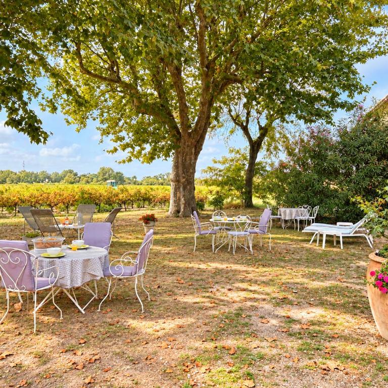 Maison de Constance Gîte 3 chambres à Aigues-Mortes - Apartamento de 3 dormitorios - 11