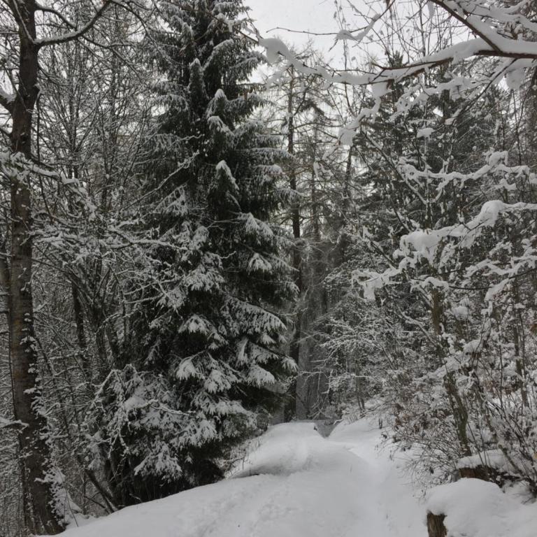 Chalet le Verger - Chalet - 48