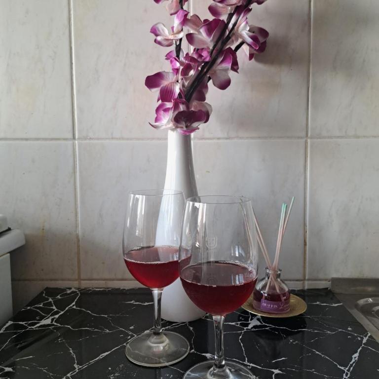 Oasis By Didi 4U2STAY - Two-Bedroom Apartment with Balcony - 14