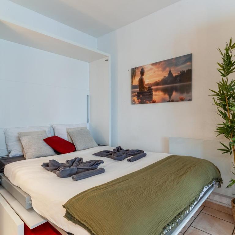 Le Zen Bambou - parking privé - 350m Plage - Monolocale - 12