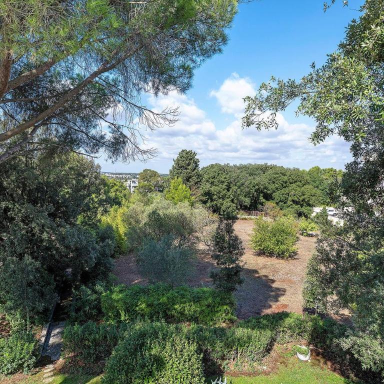 Villa Luciana - Villa con Vista Giardino - 39