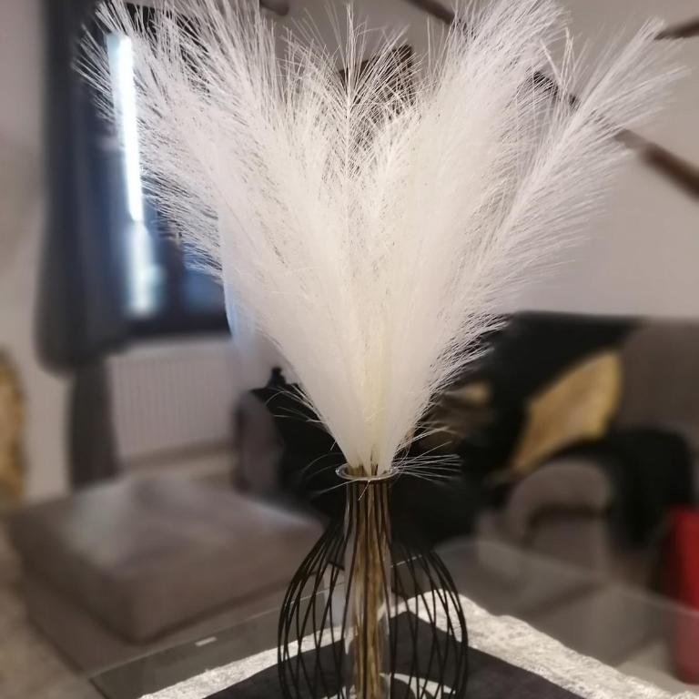 Ca' Marietto - Appartamento con 1 Camera da Letto - 7