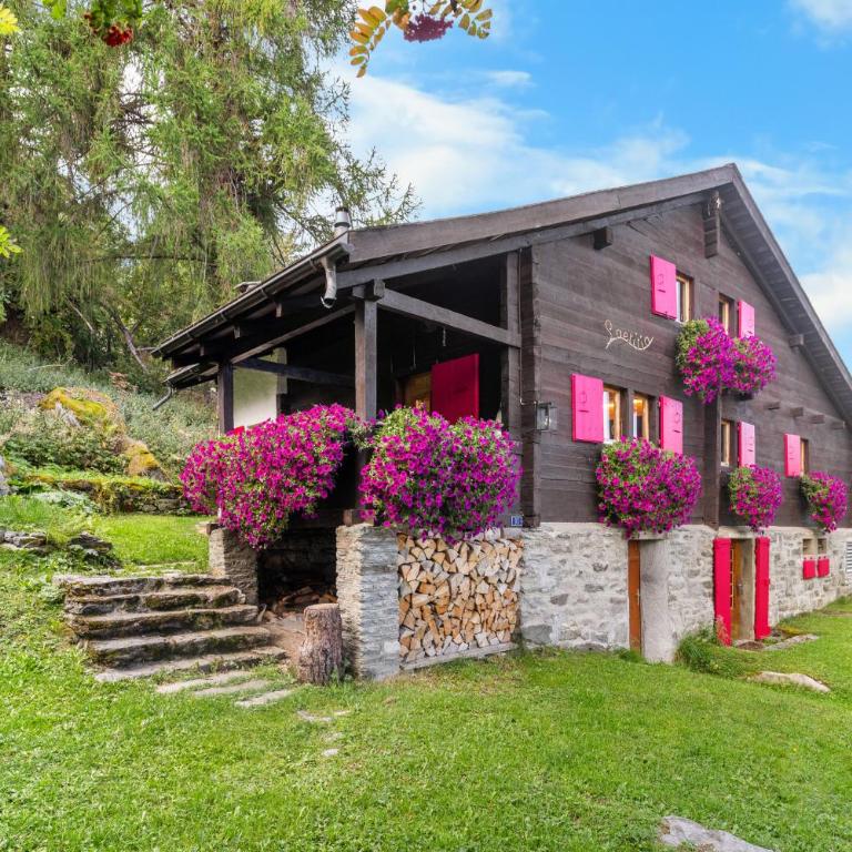 Chalet Laetitia - 8 pers - charme et authenticite - Chalet - 1