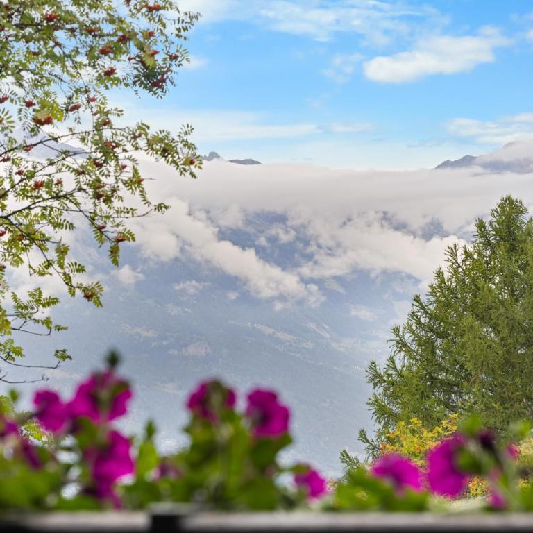 Chalet Laetitia - 8 pers - charme et authenticite - Chalet - 32