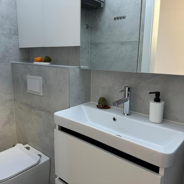 Memoria Mostar Apartment - Apartman sa 1 Spavaćom Sobom - 5