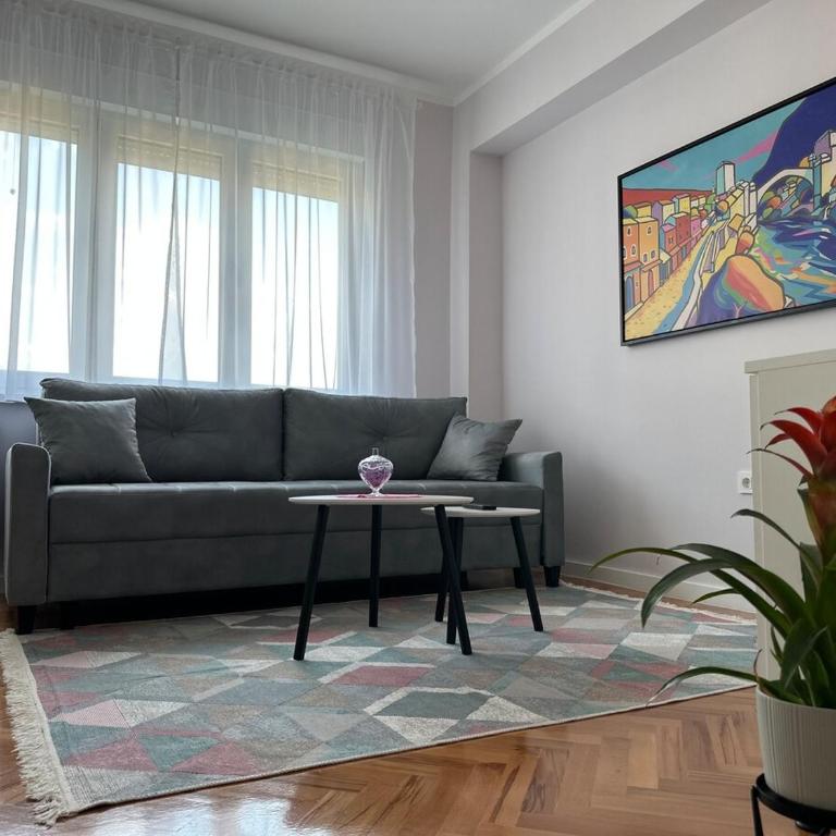 Memoria Mostar Apartment - Apartman sa 1 Spavaćom Sobom - 6