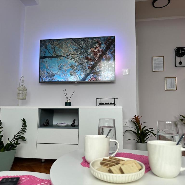 Memoria Mostar Apartment - Apartman sa 1 Spavaćom Sobom - 13