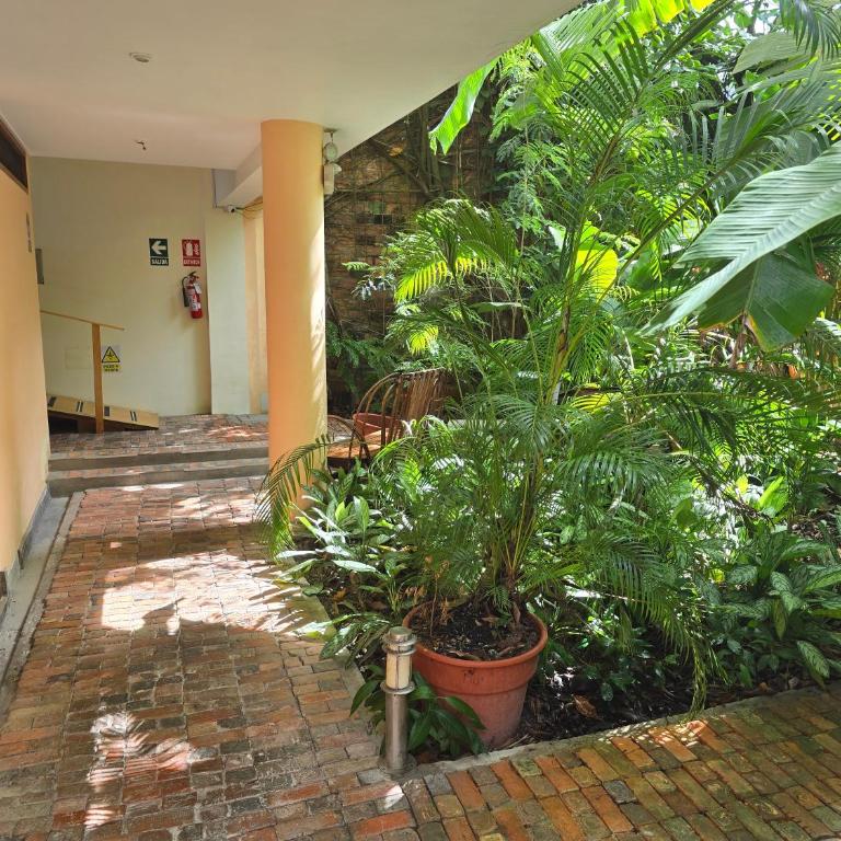 The Secret Garden Central 250 Mbps WIFI English speaking - One-Bedroom Apartment - 2