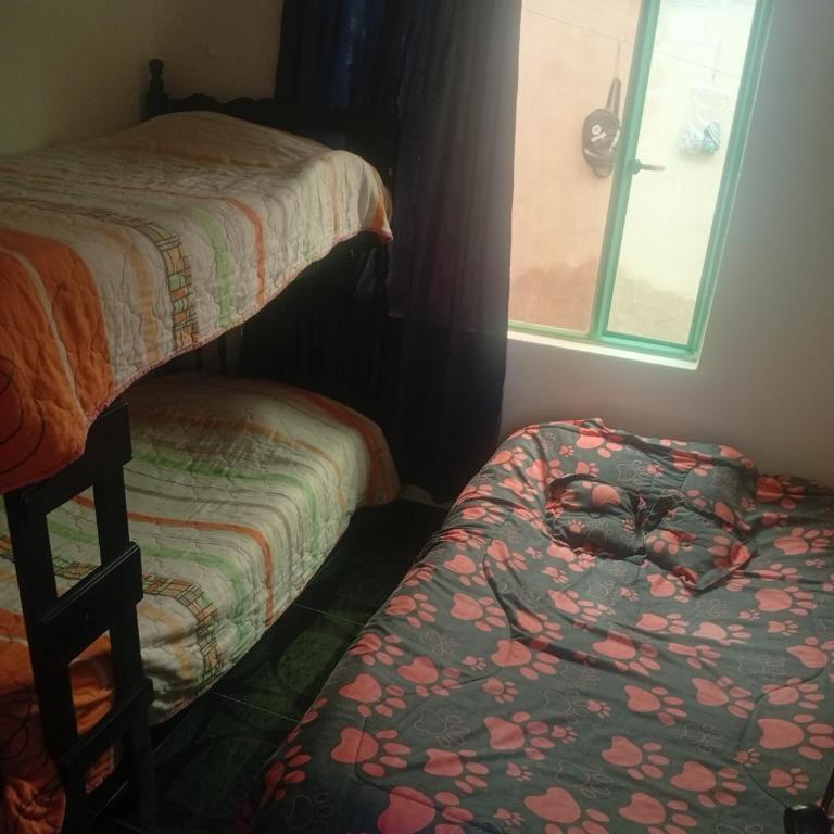 Hostal y cabañas ML el cocuy - Apartamento - 2 niveles - 2