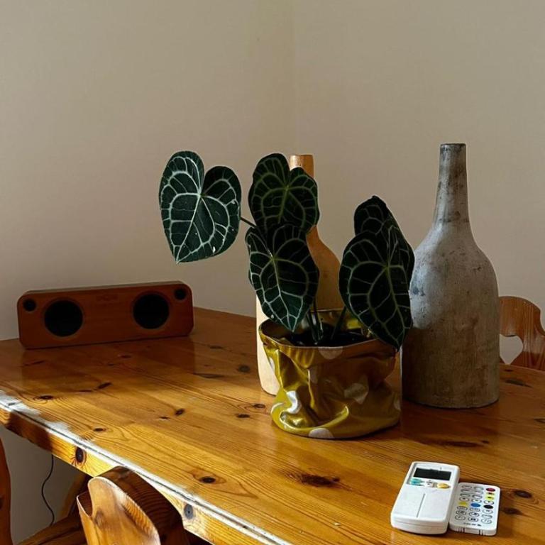 A casa di nonna Iolanda - Appartement 1 Chambre - 11