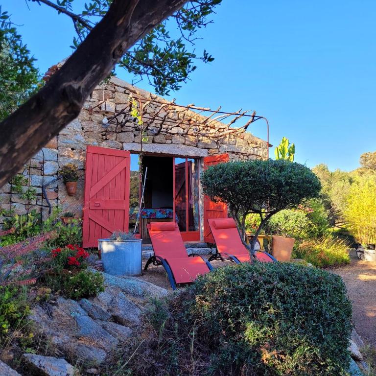 Stazzu la Capretta Farm Camping & Guest Rooms - Camera Matrimoniale/Doppia con Letti Singoli con Terrazza - 6