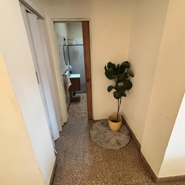 Descanso - Apartamento de 1 dormitorio - 4