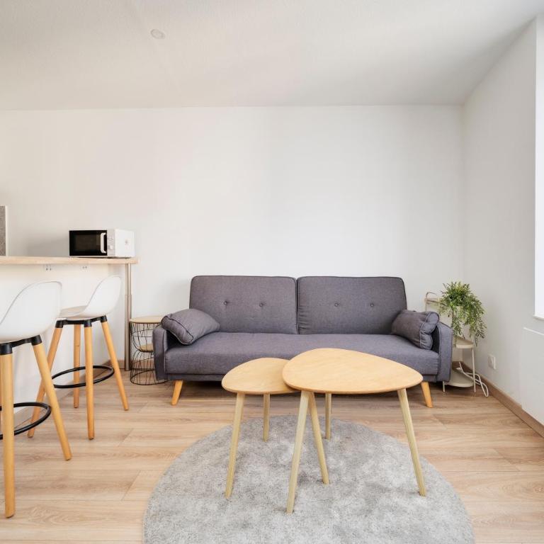 Le Mozart nancéen - proche du centre-ville - Appartement - 6